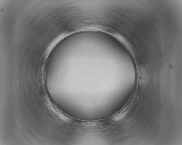 X0000052980862200507291550