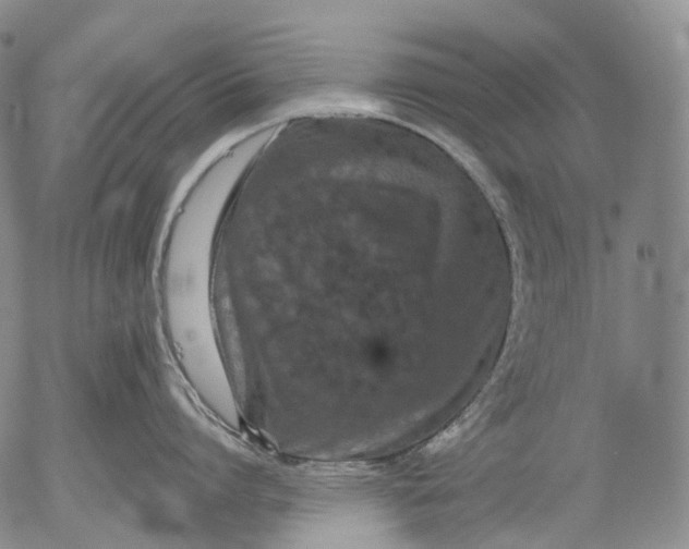 X0000052980864200507291550