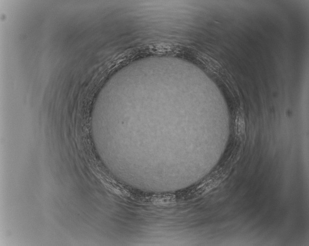 X0000052980865200507291549