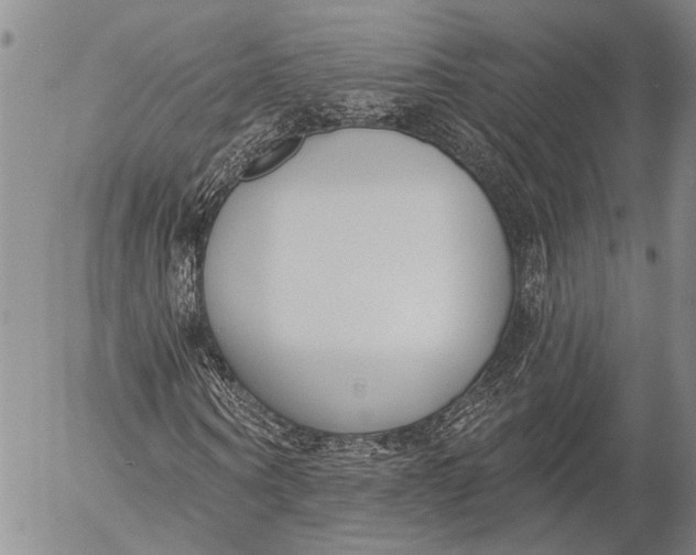 X0000052980866200507291549