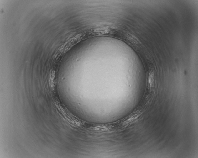 X0000052980867200507291549