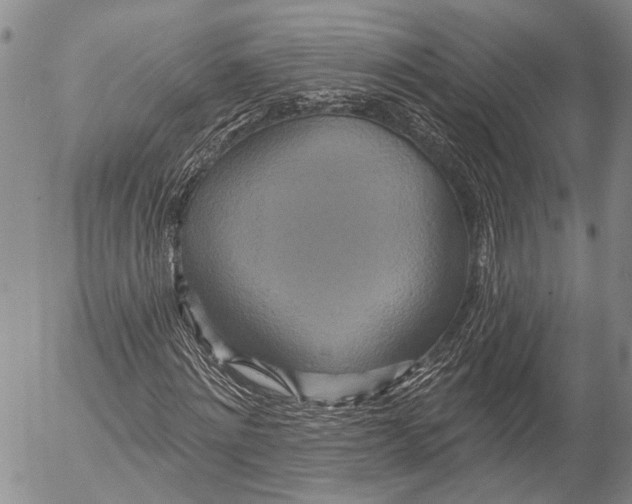 X0000052980868200507291549