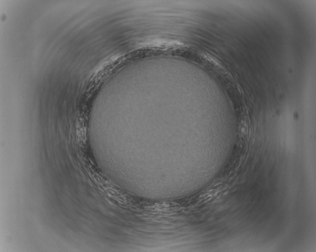 X0000052980869200507291549