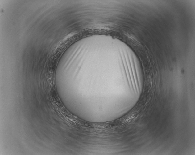 X0000052980870200507291549