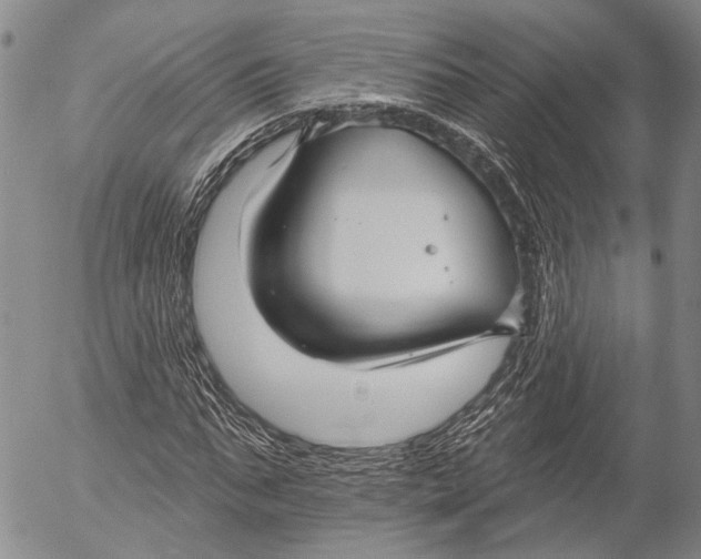 X0000052980871200507291549