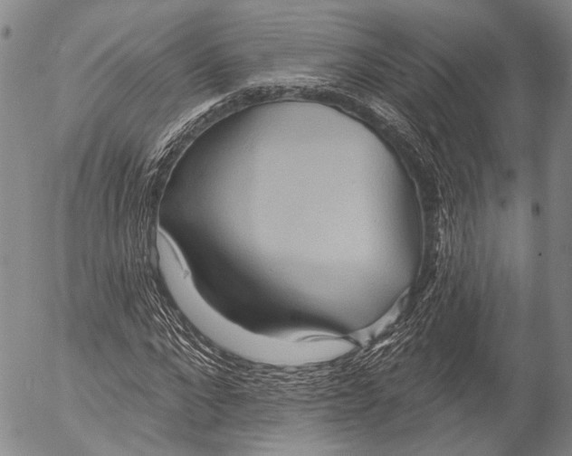 X0000052980872200507291549