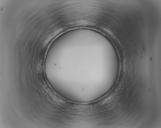 X0000052980873200507291549