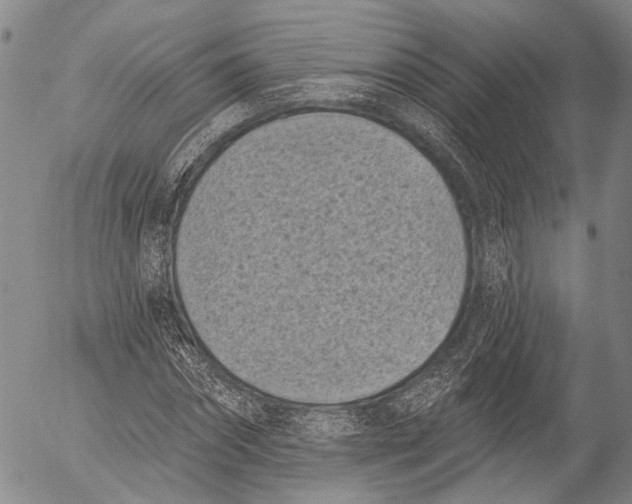 X0000052980874200507291549