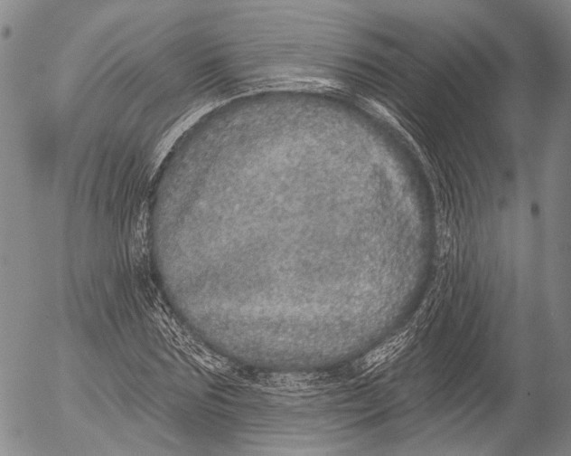 X0000052980875200507291549