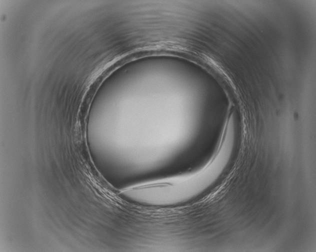 X0000052980876200507291549