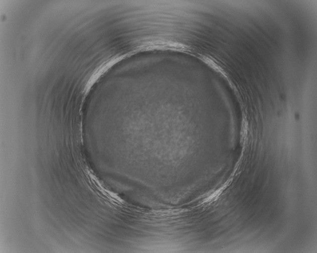 X0000052980877200507291549