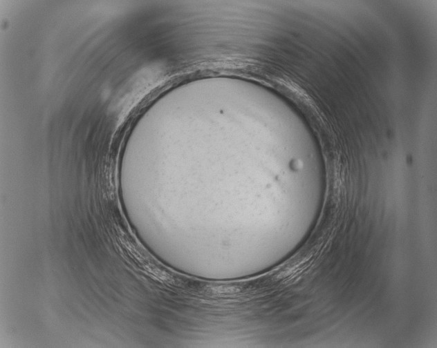 X0000052980878200507291549