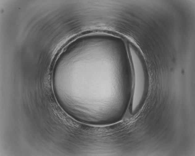 X0000052980879200507291549