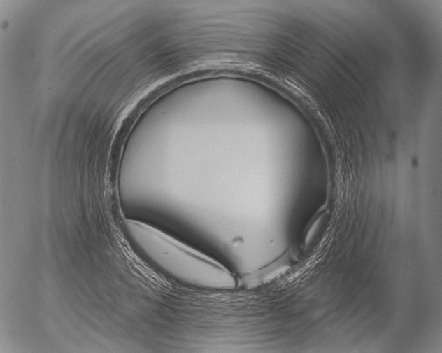 X0000052980880200507291549