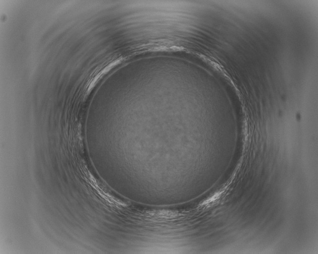 X0000052980881200507291549