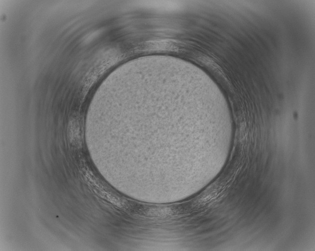 X0000052980882200507291549