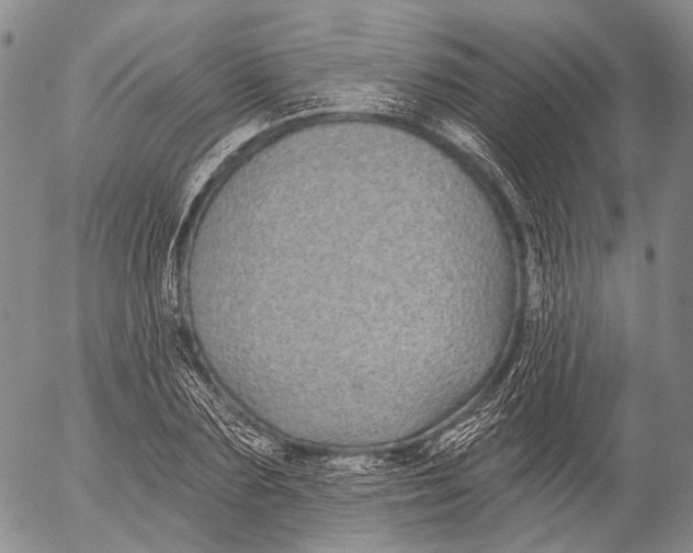 X0000052980883200507291549