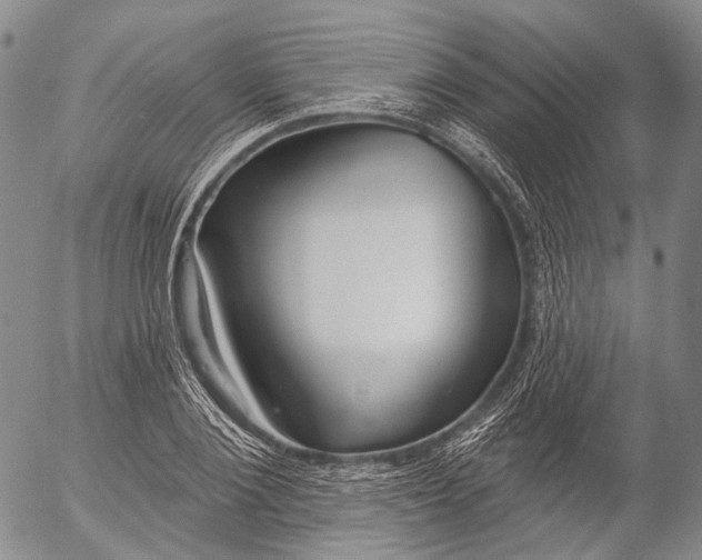 X0000052980884200507291549