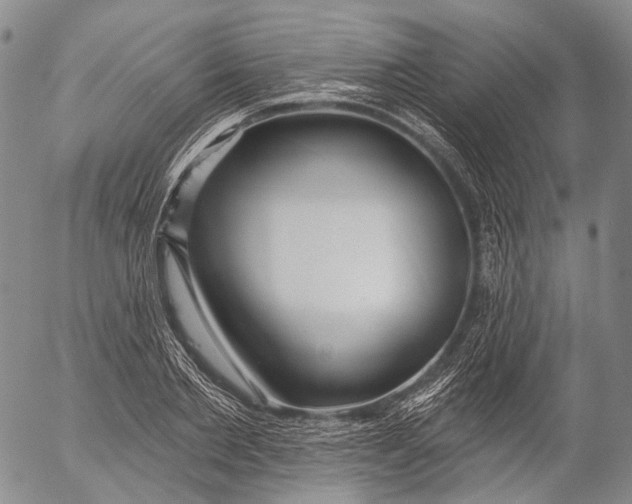 X0000052980885200507291549