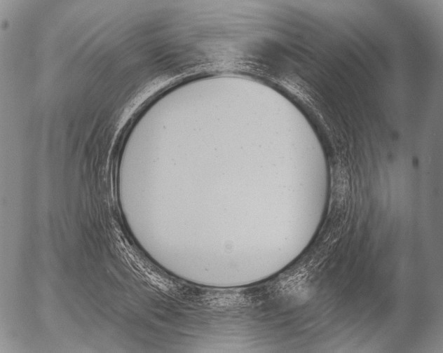 X0000052980886200507291549