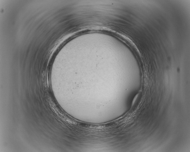 X0000052980887200507291549