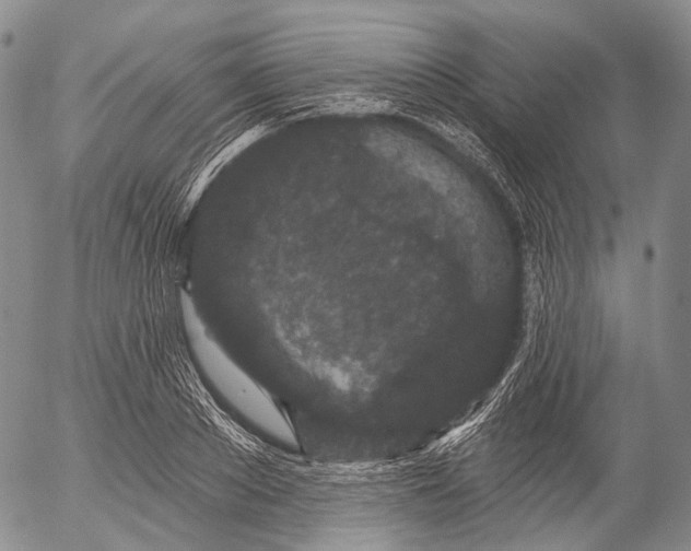 X0000052980889200507291549