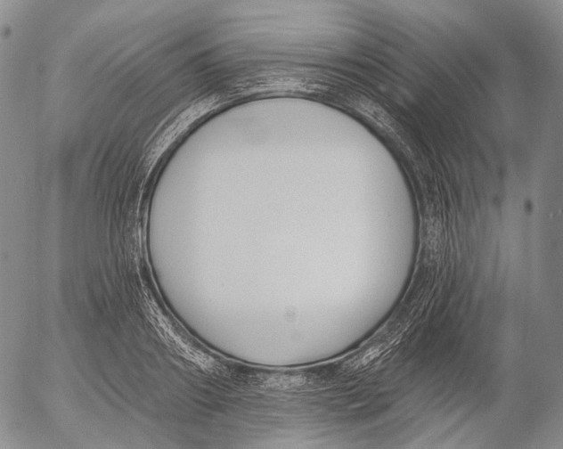 X0000052980890200507291549