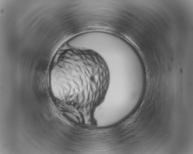 X0000052980891200507291549