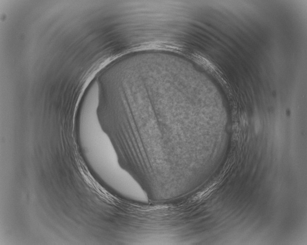 X0000052980892200507291549