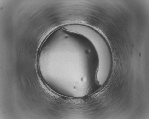 X0000052980895200507291549