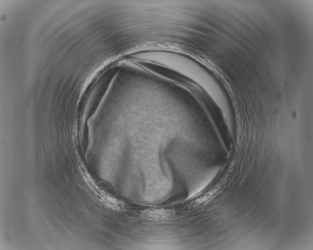 X0000052980896200507291548