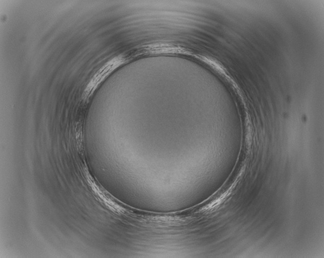 X0000052980897200507291548