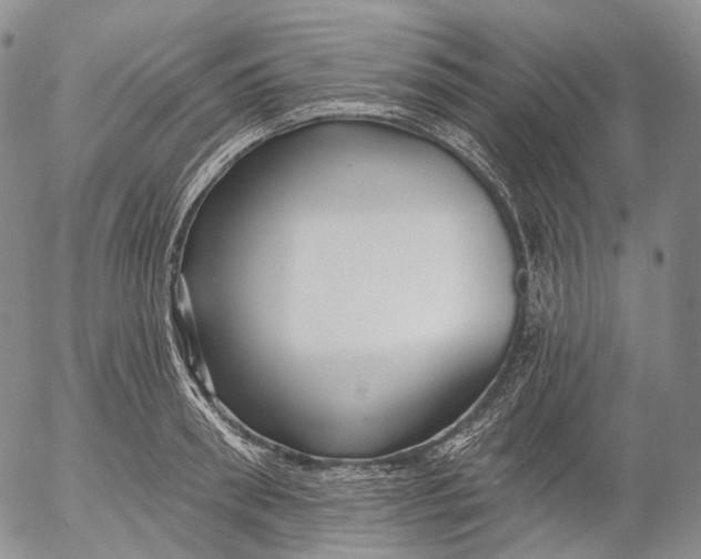 X0000052980898200507291548