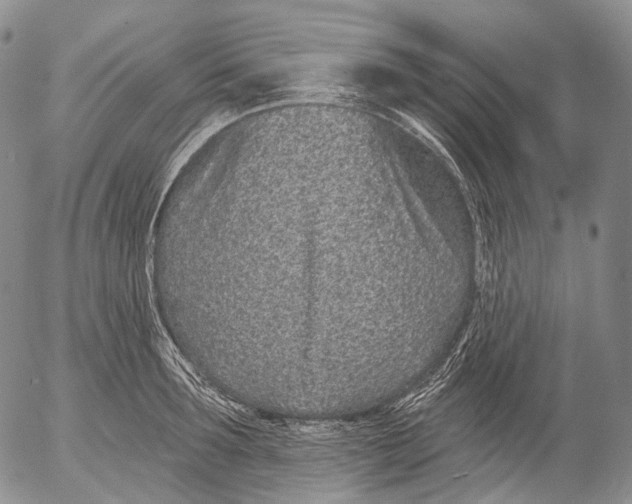 X0000052980899200507291548