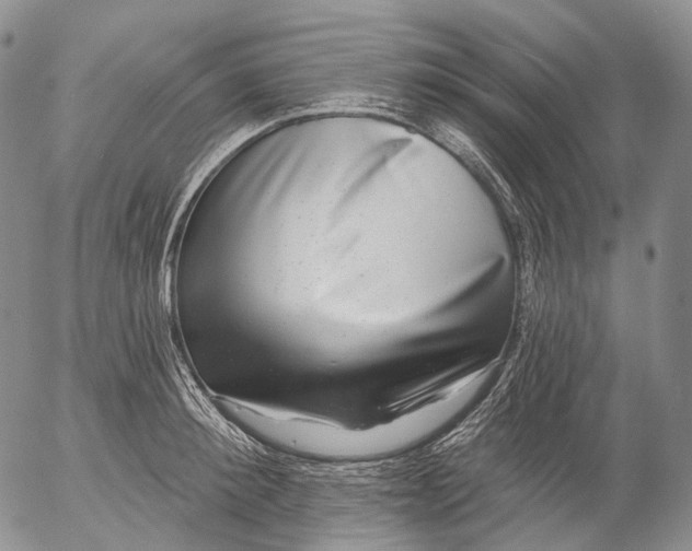 X0000052980900200507291548