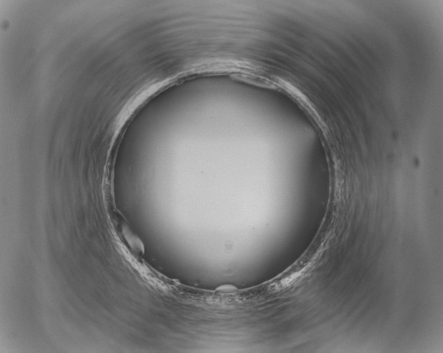 X0000052980901200507291548