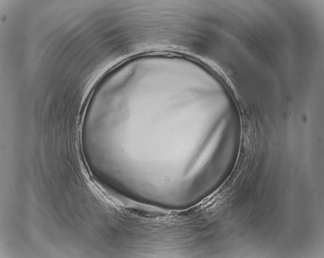 X0000052980903200507291548