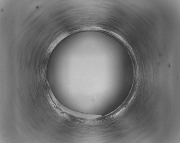 X0000052980905200507291548