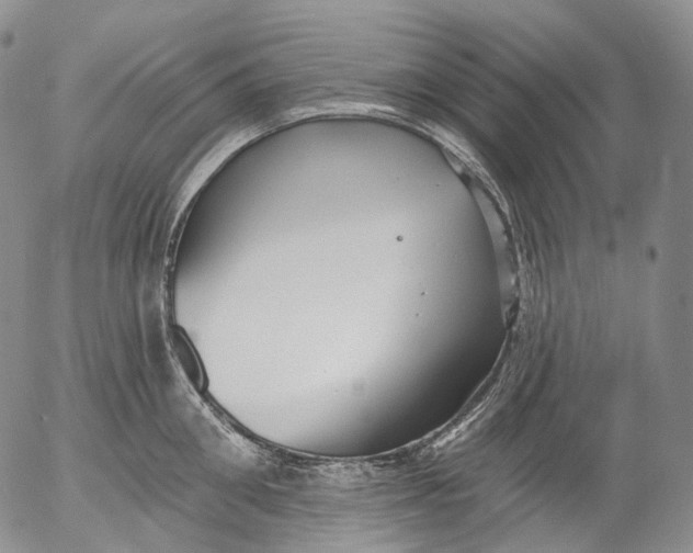 X0000052980906200507291548