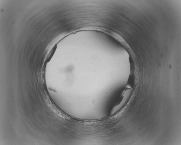 X0000052980908200507291548