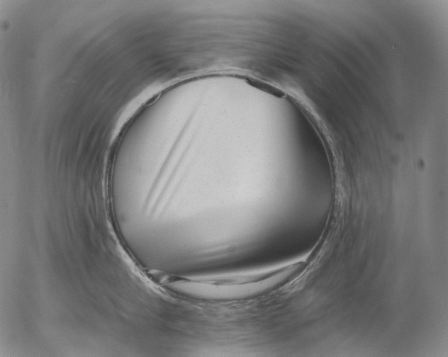 X0000052980910200507291548