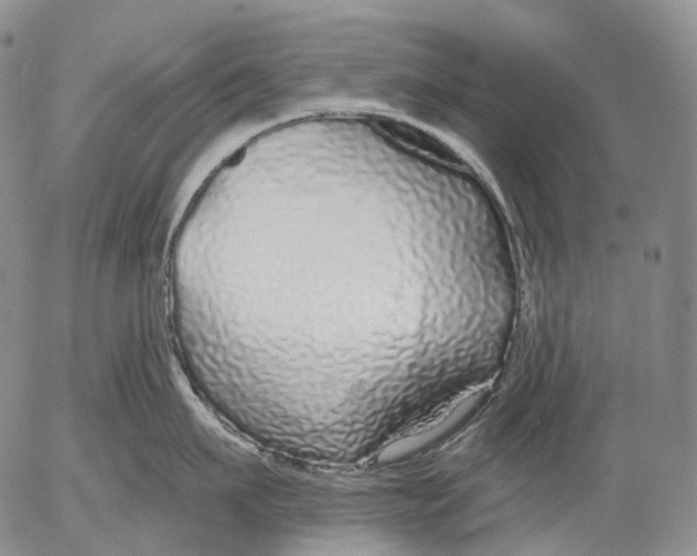 X0000052980911200507291548