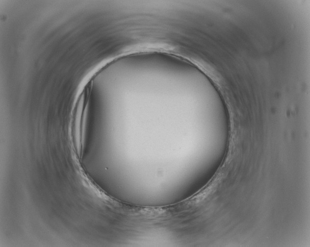 X0000052980912200507291548