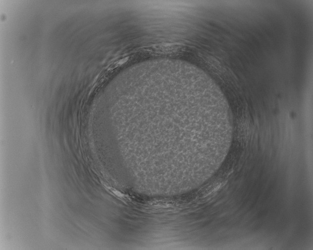 X0000052980913200507291547