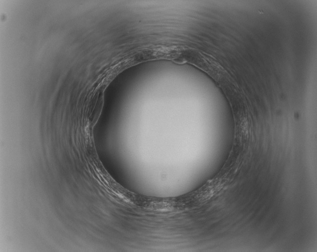 X0000052980914200507291547