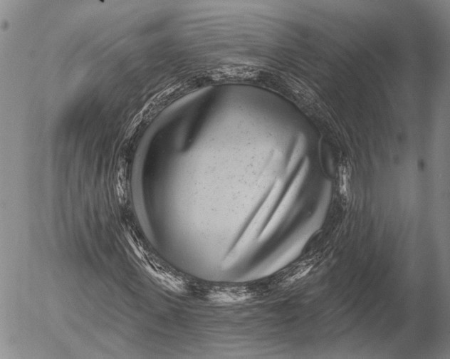 X0000052980915200507291547