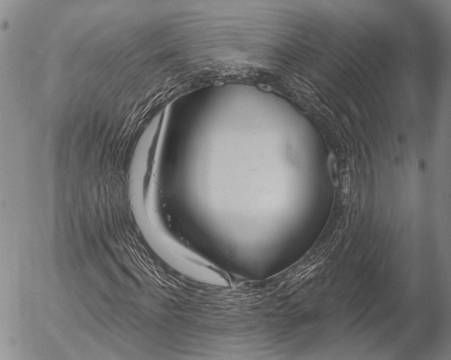 X0000052980916200507291548