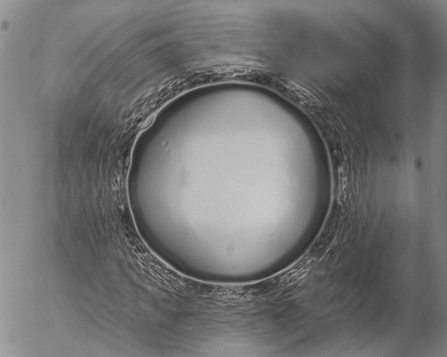 X0000052980917200507291548