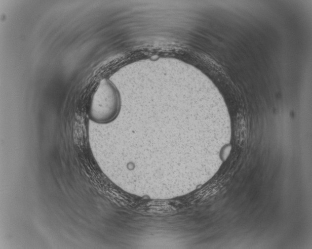 X0000052980918200507291548