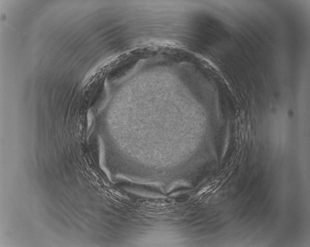 X0000052980919200507291548